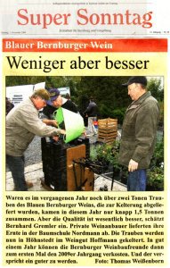 Pressebeitrag 'Blauer Bernburger Wein' Super Sonntag 01.11.2009